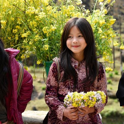 ha giang, nature, vietnam, flower reform, spring, yellow flowers, young girl, child, vietnam, vietnam, vietnam, vietnam, child, child, child, child, child